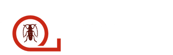 Insect Images